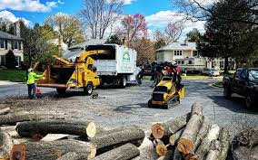 Lawn Grading and Leveling in Sauk Centre, MN